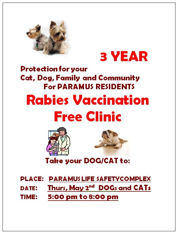RABIES_POSTER